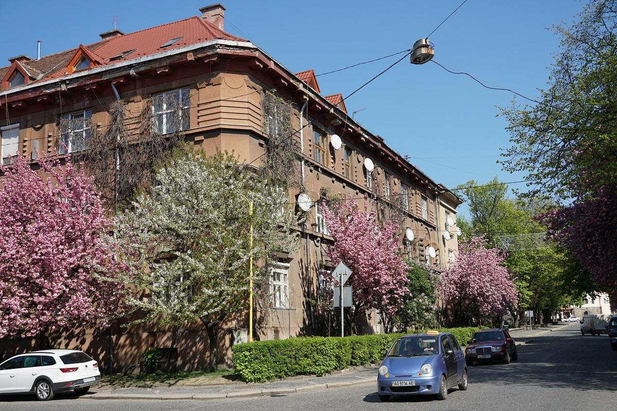 Фото: Ужгород встановив туристичний рекорд через цвітіння сакури