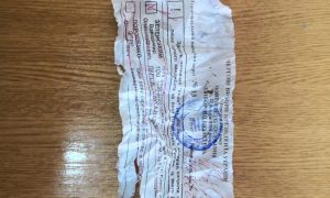 Фото: во время голосования в родном городе Зеленского съели бюллетень