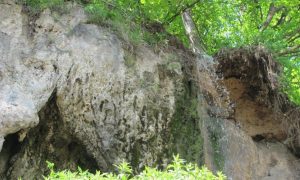 Фото: на Прикарпатье обрушился известный водопад