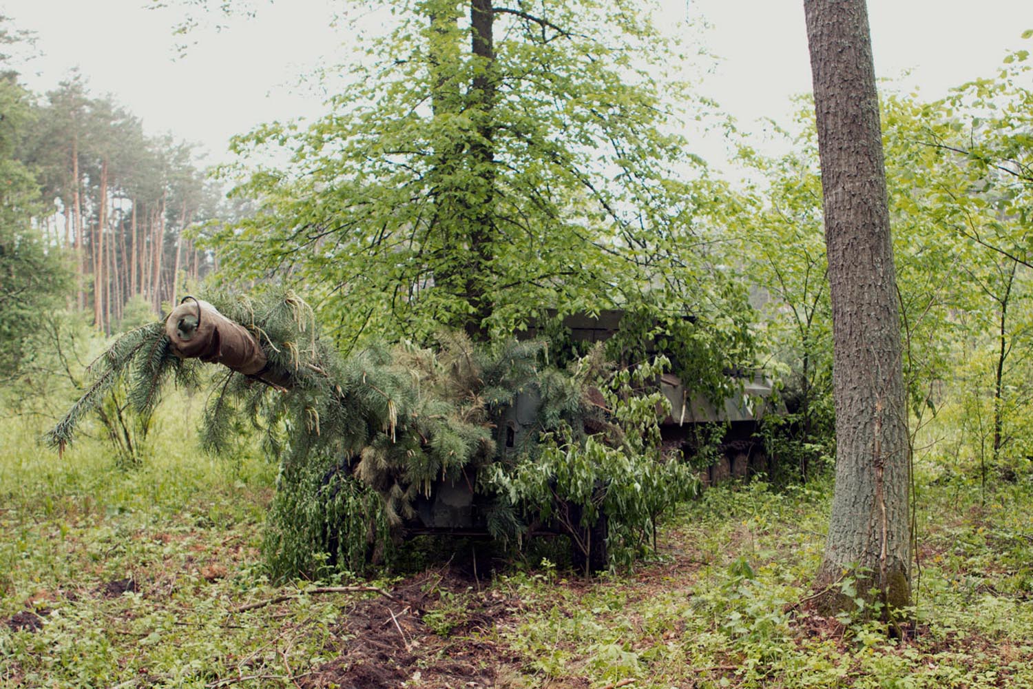 Фото: украинская армия отрабатывает артиллерийские стрельбы в пограничной области