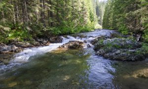 В Карпатах в реку перевернулся грузовик с туристами, есть жертвы