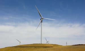 Немецкий бизнес построит ветряки для Сиваша