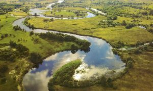 Министр экологии рассказал, где в Украине глобальное потепление заметнее всего
