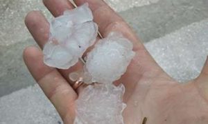 Фото, видео: на Прикарпатье выпал град с куриное яйцо