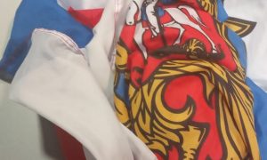 В Украину не пустили сторонников террористов «ДНР» из Ирландии