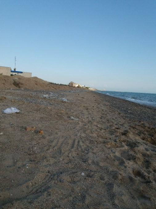 В сети появилось фото пустующего грязного пляжа в оккупированном Крыму