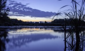 В Киеве зафиксировали температурный антирекорд