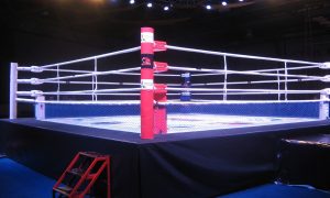 Украинские боксеры выиграли два чемпионских пояса