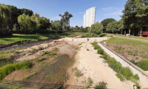 В Отрадном парке восстановят пруд