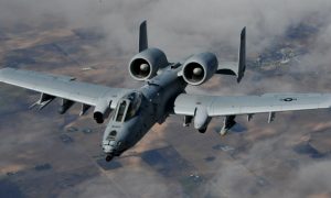 Фото: в результате столкновения с птицей штурмовик сбросил бомбы на Флориду