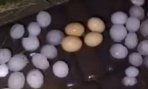 Фото: гигантский град пробил крыши и выбил окна в Ровенской области