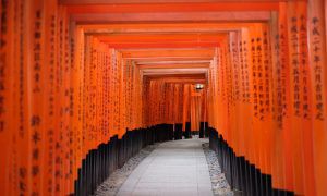 В Китае создали нейросеть, которая читает книги голосами их авторов