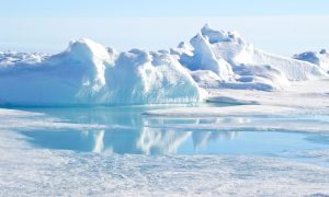 В Арктике зафиксировали рекордную жару