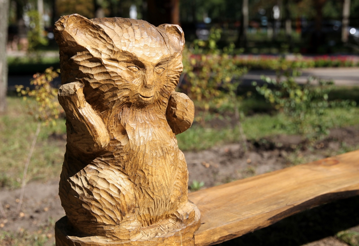 Фото: в Пуще-Водице открыли обновленный парк