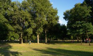 Все украинские парки планируют оснастить Wi-Fi