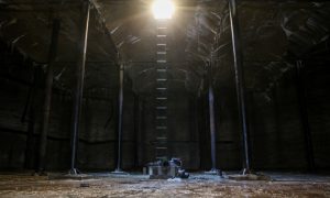 Ученые обнаружили микробов, которые дышат сульфатами на дне океана