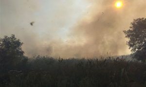 Відео: на Черкащині добу палає сміттєзвалище