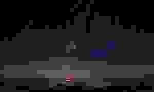 Видео: как выглядит метеорный поток Персеиды с самых разных уголков планеты