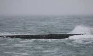 Видео: море в Одессе окрасилось в черный цвет