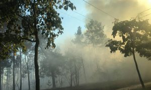 Недалеко от Лесного массива горел лес