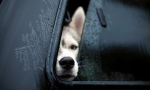 Украинская школьница получила полмиллиона за гаджет для спасения людей