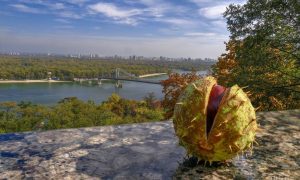 Когда в Киеве наступит бабье лето