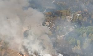 Фото: в Черниговской области горит военный полигон, тушат авиацией