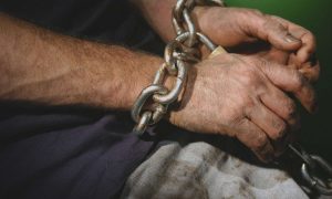 Фото: в Одесской области задержали фермеров, которые удерживали сотню рабов