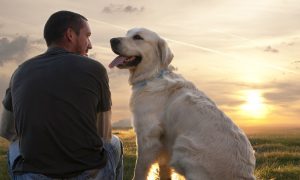 Ученые обнаружили, что хозяева собак здоровее и живут дольше