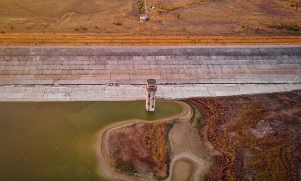 Фото: оккупированный Крым настигла новая экологическая катастрофа