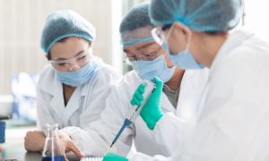 Японские ученые на месяц воскресили мозг мертвого животного