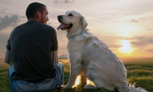 Ученые вывели новую формулу определения возраста относительно человеческого