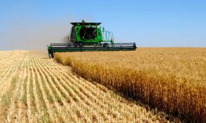 В Минэкономики объяснили причину сокращения украинского экспорта за октябрь