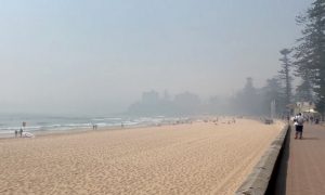 Фото: пожары в Австралии оказались самыми масштабными в истории страны