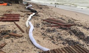 Авария танкера в Одессе: в море вылилось рекордное число нефтепродуктов