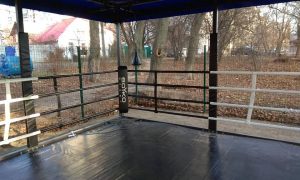 В парке на Сырце установили боксерский ринг