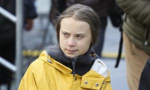 Фото: сотни тысяч людей из десятков стран мира приняли участие в забастовке Греты Тунберг