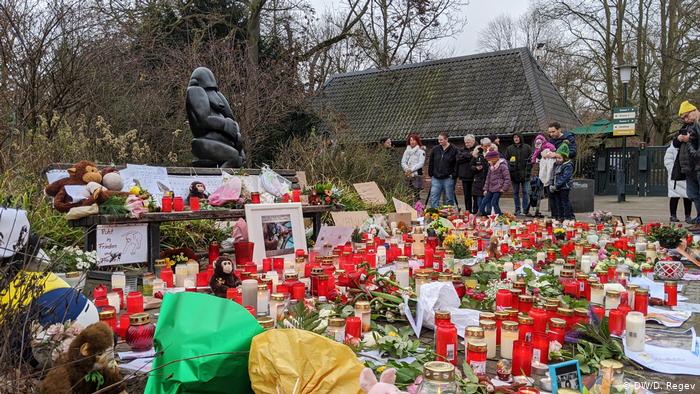 Стало відомо, хто спалив десятки мавп у німецькому зоопарку