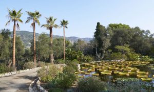 Фото, видео: Ахметов купил самую дорогую виллу мира