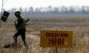 Фото: украинский дрон находит мины с точностью до сантиметра