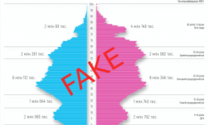 Электронную перепись Дубилета назвали фальсификацией