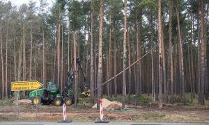 Фото: Tesla запретили вырубку леса под Берлином, где планировалось строительство завода