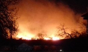 Фото, видео: в Одесской области загорелся национальный природный парк