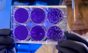 Ученые нашли неизвестный науке вирус