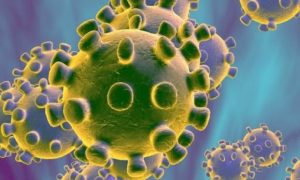 Ученые Нидерландов нашли путь к лечению коронавируса
