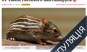 Чому не варто панікувати через «новий» хантавірус