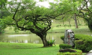 
Зачем считать экспорт с гектара земли