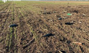 Фото: на Херсонщине взорвался грузовик с боеприпасами