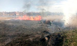 В Одесской области произошел крупный пожар в национальном парке