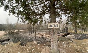 Фото, видео: в Зоне отчуждения и на Житомирщине горят тысячи гектаров леса